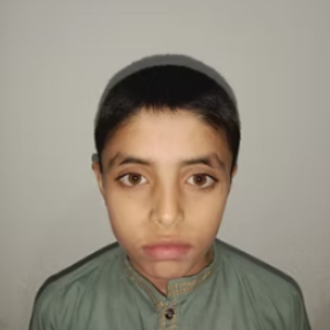 M. Danyal Jan M. Danyal Jan